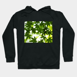 Photography - Spring leaves Hoodie